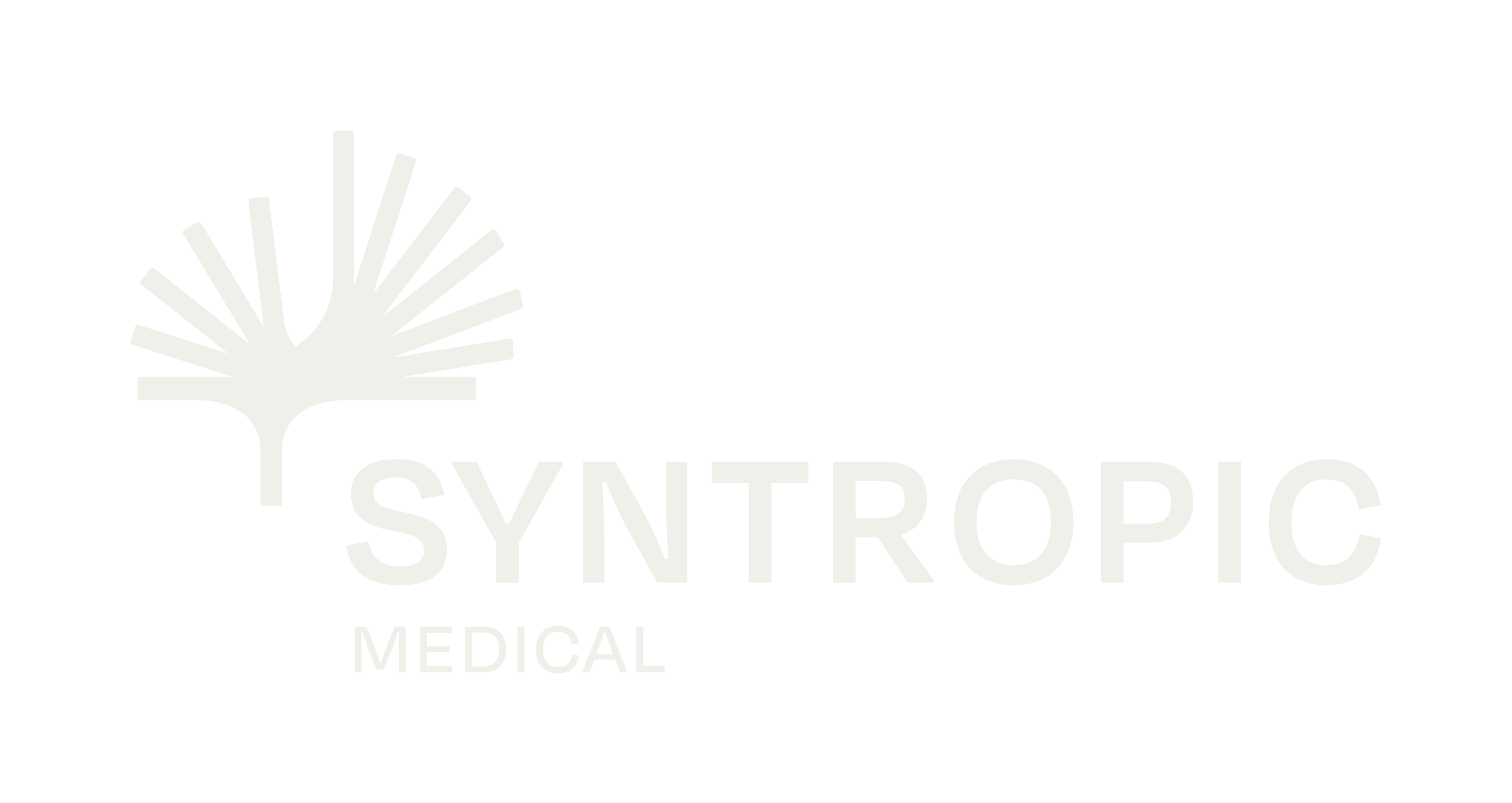 Syntropic Video Fallback