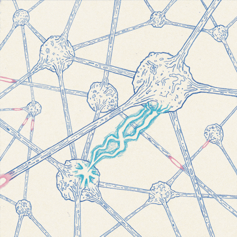 Brain plasticity illustration